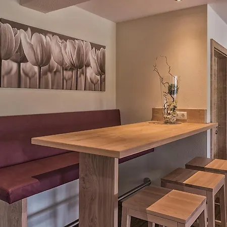 Apartament Schiestl *